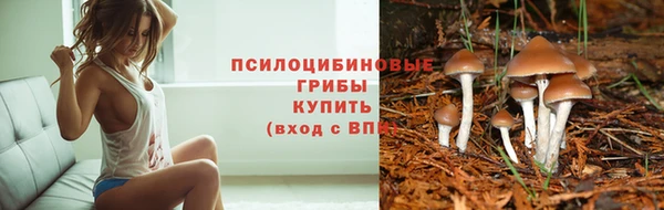 крисы Верхний Тагил