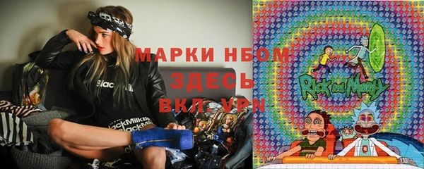 крисы Верхний Тагил