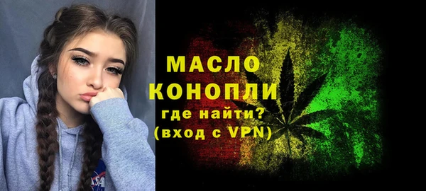 крисы Верхний Тагил
